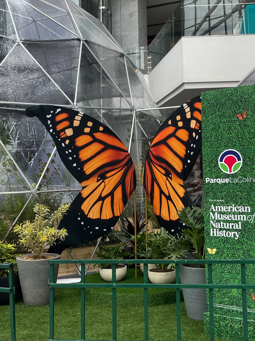 Experiencia inmersiva Magiposario en centro comercial con domo geodésico transparente, vegetación decorativa y ambientación temática natural